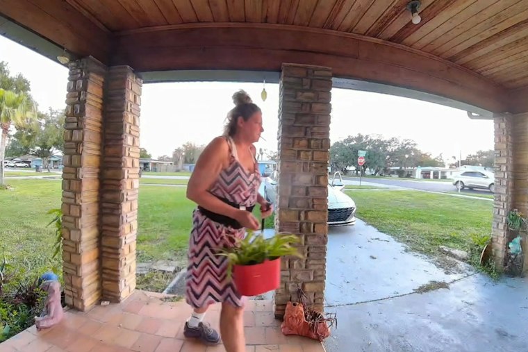 Avon Park Porch Pirate Swipes Potted Plant and Sign, Deputies Release Video