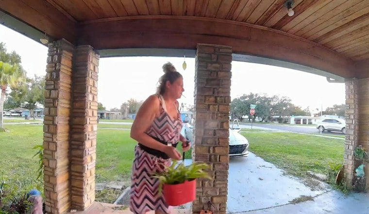 Avon Park Porch Pirate Swipes Potted Plant and Sign, Deputies Release Video