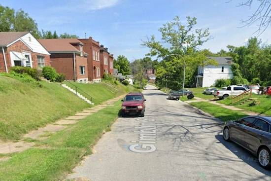 Baden Man, 33, Killed by Falling Tree as Neighbors Blame City Inaction