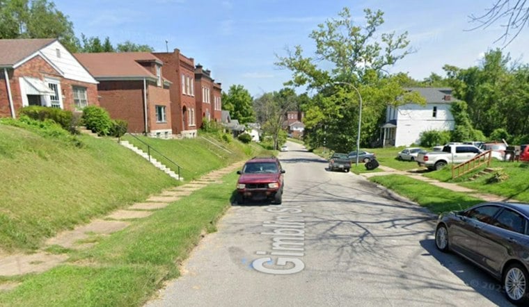 Baden Man, 33, Killed by Falling Tree as Neighbors Blame City Inaction