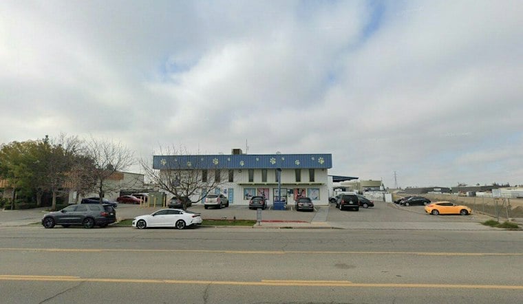 Bakersfield Group Buses 31 Dogs Off Euthanasia List to Colorado