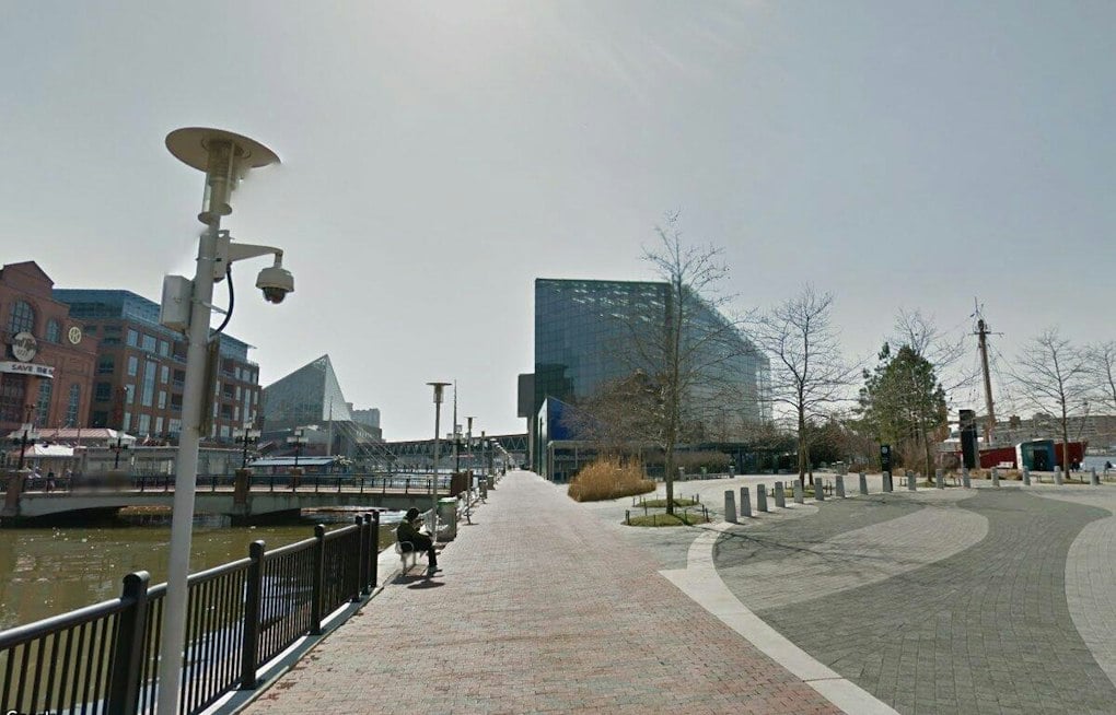 Baltimore Teens Imagine a Harbor 100 Years From Now in New Aquarium Exhibit
