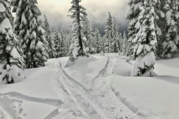 Barefoot Footprints in Snow Lead Deputy to Lost Hiker After 4 Days in Oregon Woods