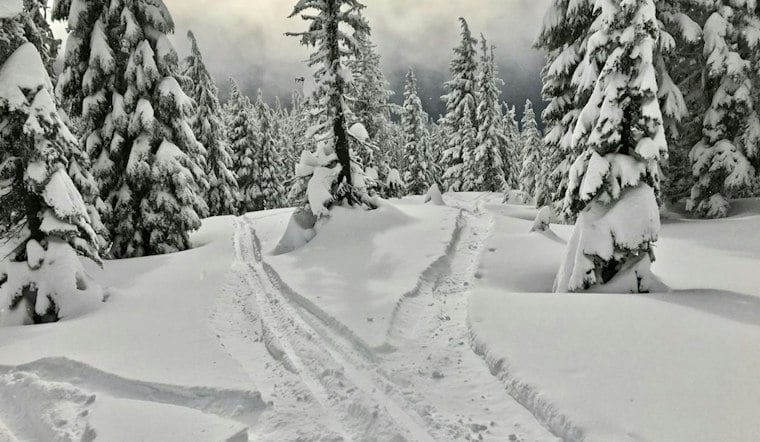 Barefoot Footprints in Snow Lead Deputy to Lost Hiker After 4 Days in Oregon Woods