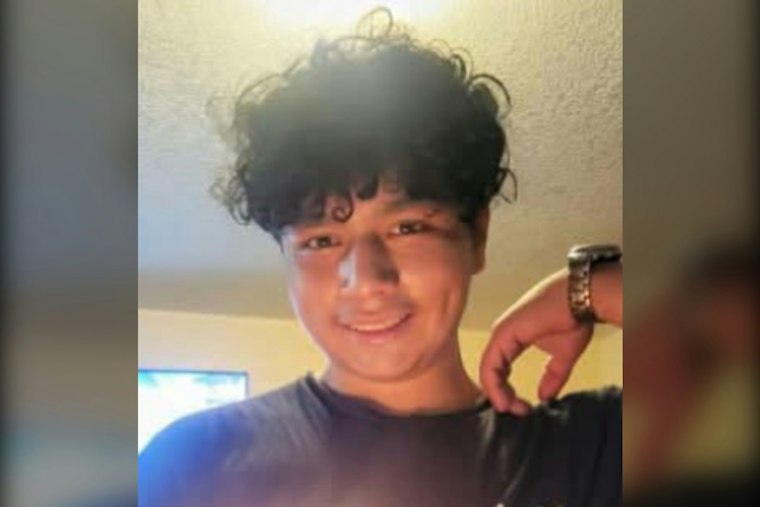 Basalt Teen Sebastian Medina Lazo, 17, Missing Since 1 AM, May Be in Denver