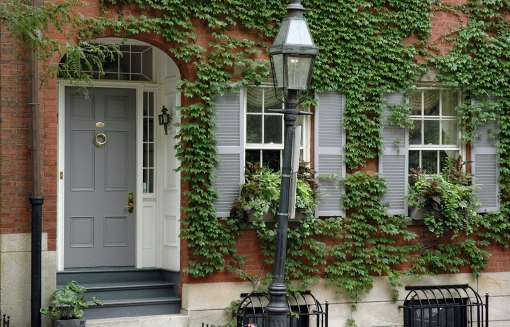 Beacon Hill's Butterfly House Started With a 4-Year-Old's Costume Idea