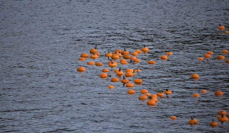 Bellevue's Halloween on the Hill Returns This Weekend With Pumpkin Races, Magic Show