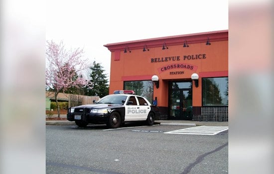 Bellevue Shooting Leaves One Critically Hurt, Suspect Held Near Whitted Drive