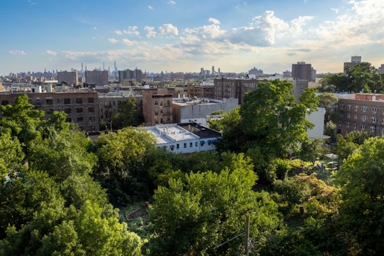 Bette Midler's Hulaween Gala Nets $2 Million for NYC Green Spaces