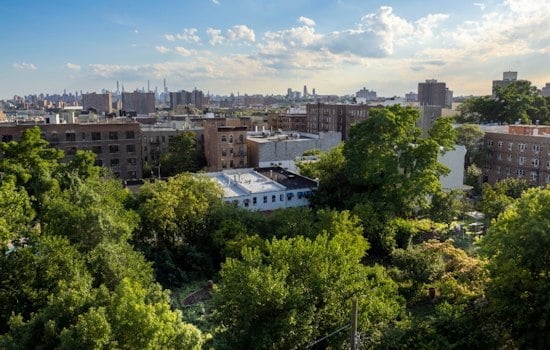 Bette Midler's Hulaween Gala Nets $2 Million for NYC Green Spaces