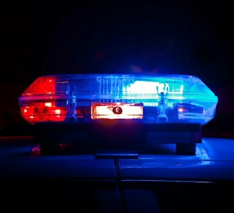 Bexar County Man Accused of Driving Drunk While Towing Three Horses, Hitting Parked Cars