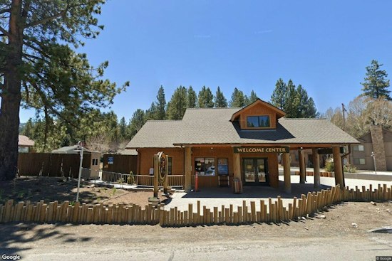 Big Bear Alpine Zoo's Twilight Safari Lets Mountain Lions Steal the Night