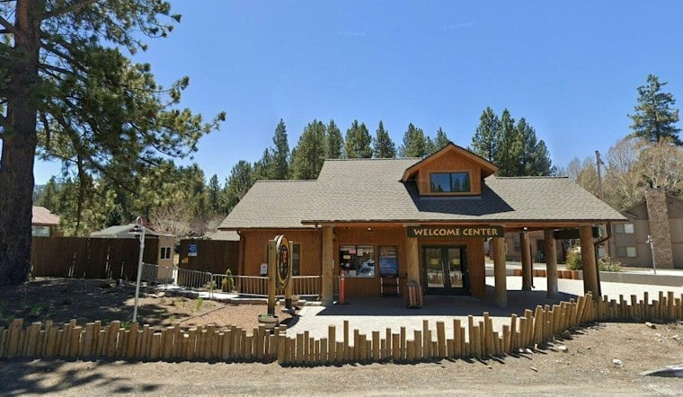 Big Bear Alpine Zoo's Twilight Safari Lets Mountain Lions Steal the Night