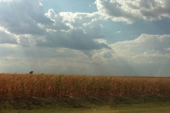 Billings Man, 65, Dies After Medical Episode Sends Vehicle Through Garfield County Fields