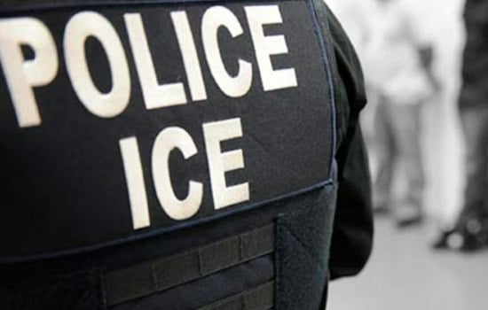 Billionaire Island Trains All Six Cops for ICE Arrests, Makes Zero