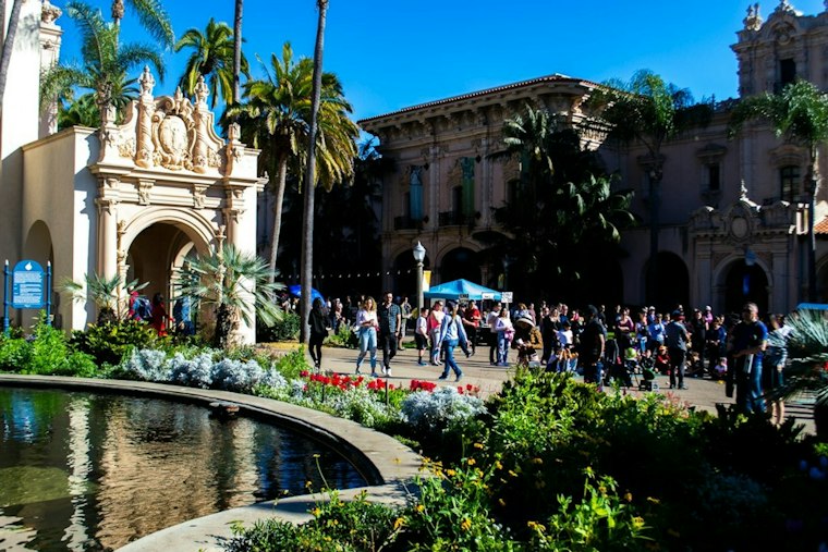 BirdStock 2026 Draws 15,000 to Bird Rock, Raises $40,000 for Schools, Coast