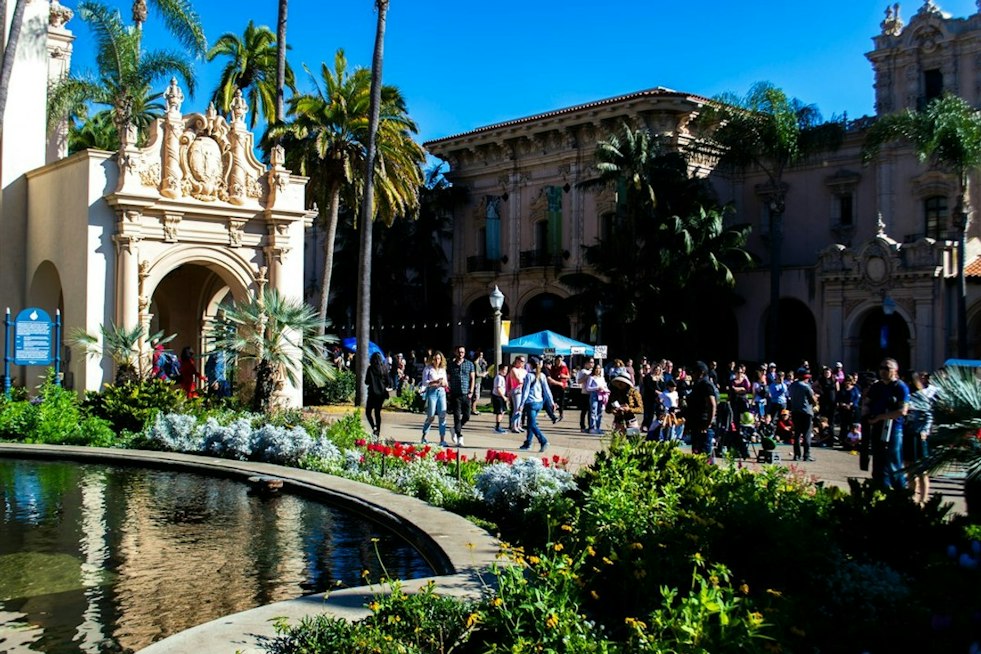 BirdStock 2026 Draws 15,000 to Bird Rock, Raises $40,000 for Schools, Coast