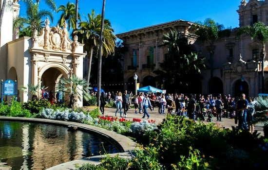 BirdStock 2026 Draws 15,000 to Bird Rock, Raises $40,000 for Schools, Coast