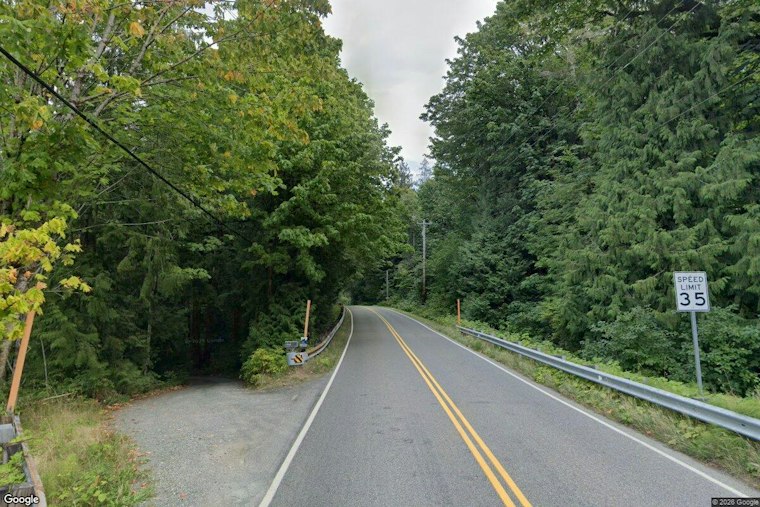 Black Bear Attacks Snohomish County Woman Near Index, Wildlife Agents Hunt for Cub