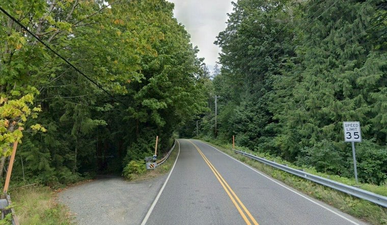 Black Bear Attacks Snohomish County Woman Near Index, Wildlife Agents Hunt for Cub