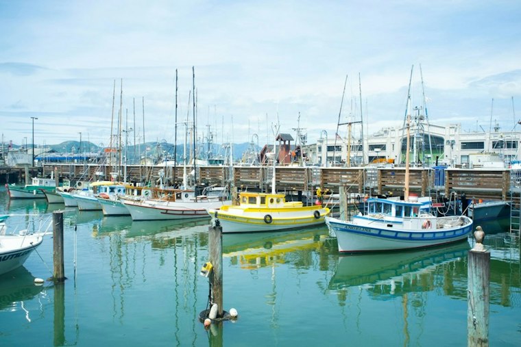 Spud Point Marina Ice Plant Upgrade, Bodega Bay