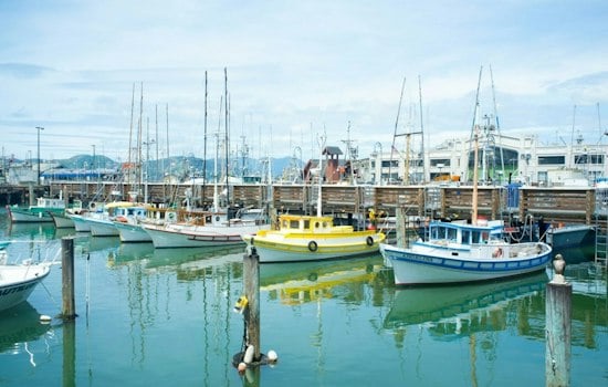 Bodega Bay's Only Bulk Ice Plant Gets $2.8M Fix After Years of Breakdowns