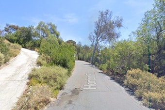 Bonita Tree Trimmer Dies Trapped 35 Feet Up on Horton Road