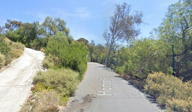 Bonita Tree Trimmer Dies Trapped 35 Feet Up on Horton Road
