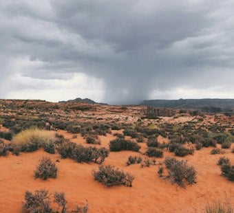 Brazilian University Rector Killed as Scottsdale Winds Blow Material from Roof