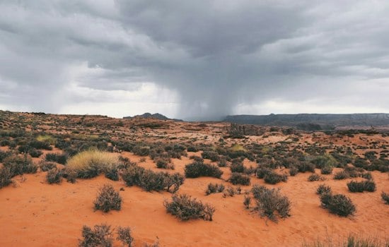 Brazilian University Rector Killed as Scottsdale Winds Blow Material from Roof