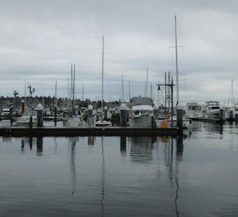 Bremerton Boat Owner Hit With Record $279K Fine After Diesel Spill Cover-Up