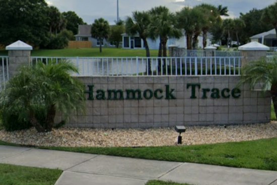 Brevard County Fells 62 Oak Trees In Viera, Leaving Hammock Trace Residents Fuming