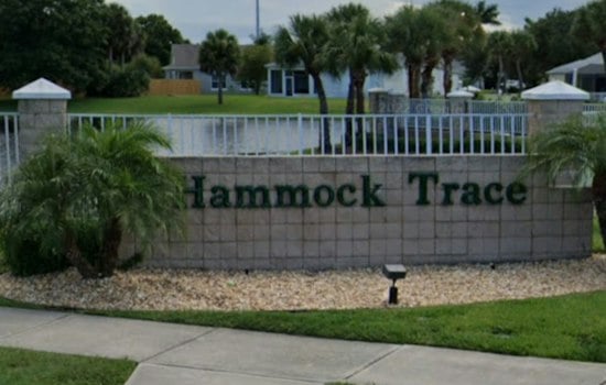 Brevard County Fells 62 Oak Trees In Viera, Leaving Hammock Trace Residents Fuming