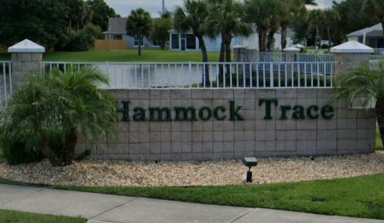 Brevard County Fells 62 Oak Trees In Viera, Leaving Hammock Trace Residents Fuming