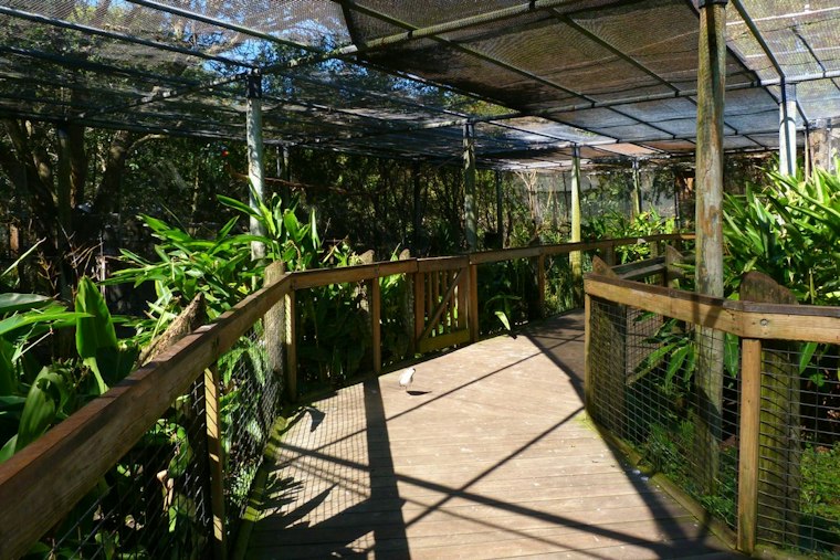 Brevard Zoo's JAZZOO Returns Nov. 7 With Seven Stages, Open Bars and a Zero-Waste Goal