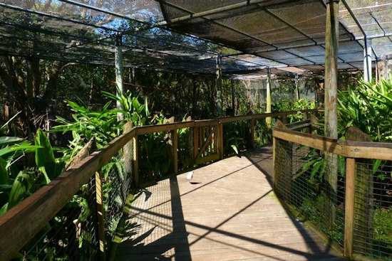 Brevard Zoo's JAZZOO Returns Nov. 7 With Seven Stages, Open Bars and a Zero-Waste Goal