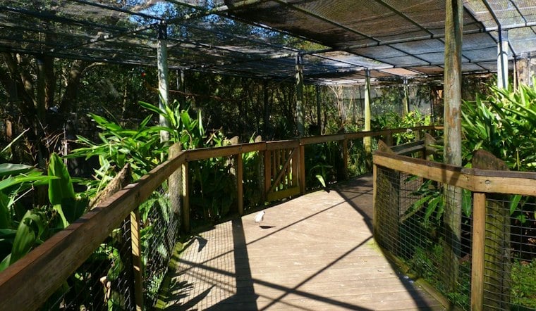 Brevard Zoo's JAZZOO Returns Nov. 7 With Seven Stages, Open Bars and a Zero-Waste Goal