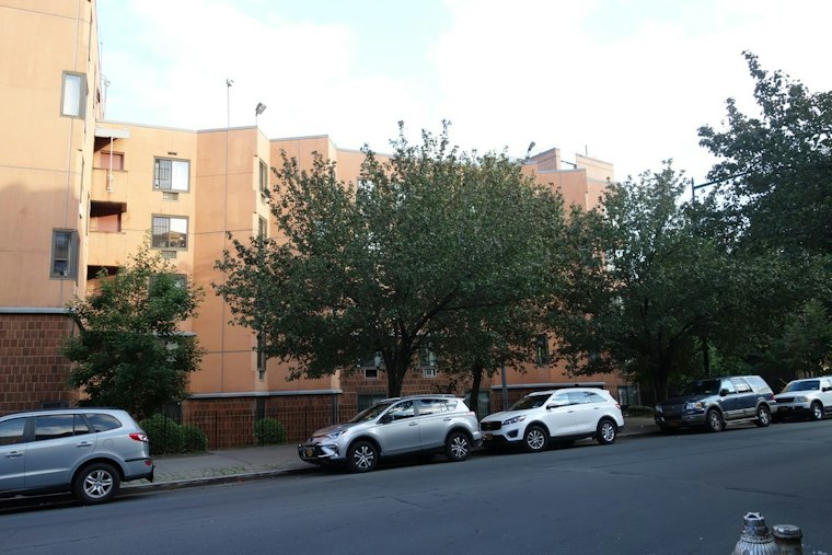 Bronx Studios Rent for $675 a Month, but 55,000 Applied for the Last One