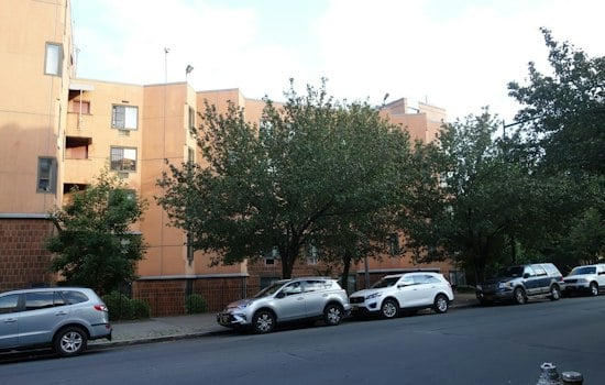Bronx Studios Rent for $675 a Month, but 55,000 Applied for the Last One