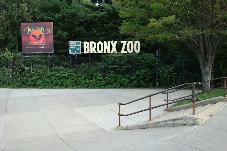 Bronx Zoo Replants Chestnut Trees 122 Years After Blight Was Found There