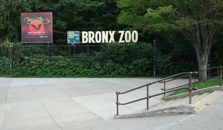 Bronx Zoo Replants Chestnut Trees 122 Years After Blight Was Found There