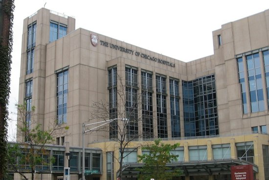 Bronzeville Pedestrian Critically Hurt as Driver Cited for Speed, No Insurance