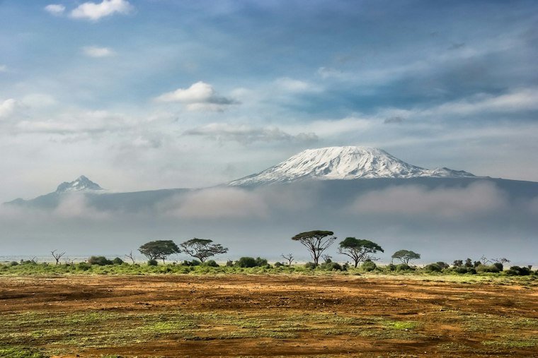 Brooklyn Park Mailman Conquers Kilimanjaro Years After Seizure Nearly Ended Everything