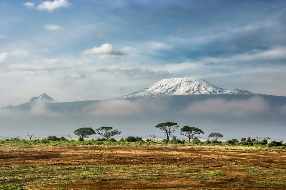Brooklyn Park Mailman Conquers Kilimanjaro Years After Seizure Nearly Ended Everything