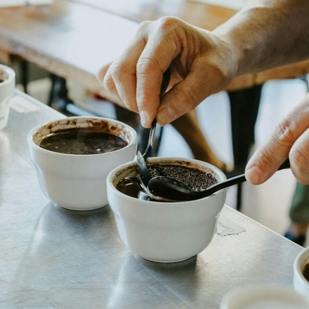 Brooklyn's SEY Coffee Debuts $200 Cup From Rare Panama Gesha Beans