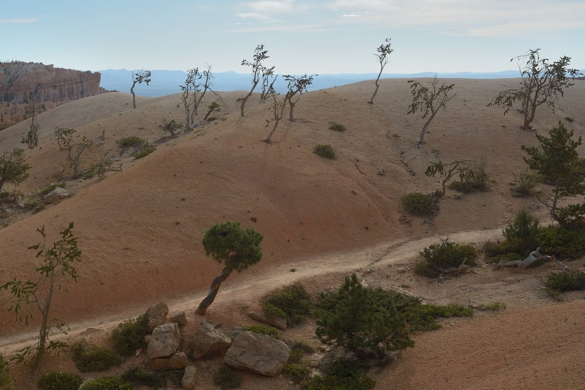 Bryce Canyon's New 20-Mile Paved Trail Finally Links Park Point to Point