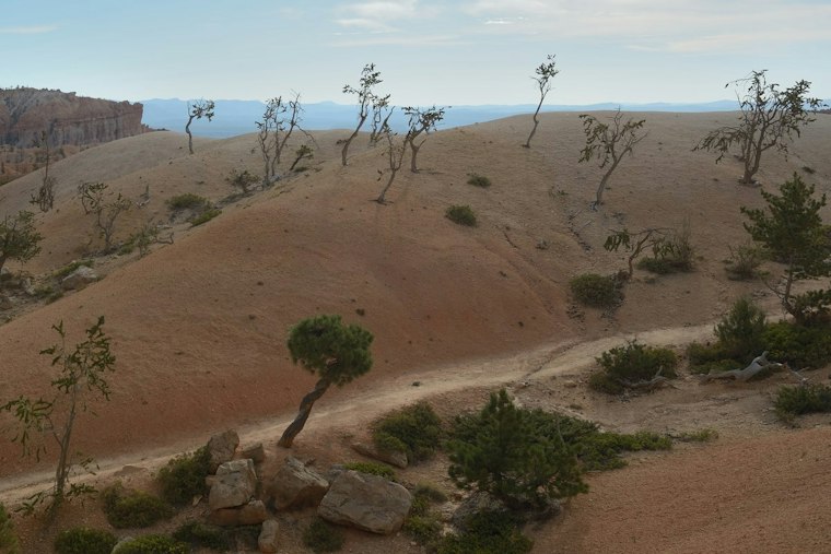 Bryce Canyon's New 20-Mile Paved Trail Finally Links Park Point to Point