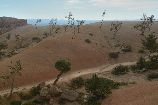Bryce Canyon's New 20-Mile Paved Trail Finally Links Park Point to Point