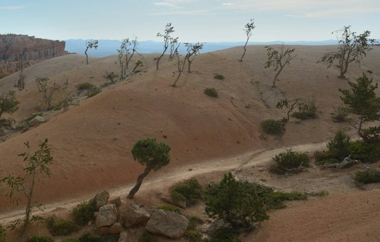 Bryce Canyon's New 20-Mile Paved Trail Finally Links Park Point to Point