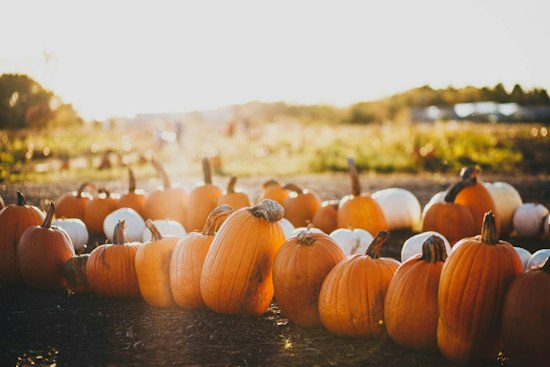 Buckhead's Peachtree Road Farmers Market Turns Into a 70-Vendor Pumpkin Patch This Saturday